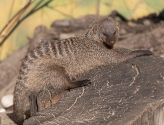 Similar image 21424086