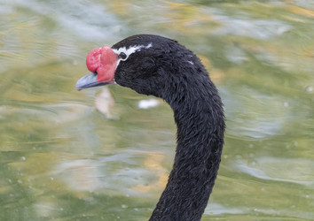 Similar image 21424090