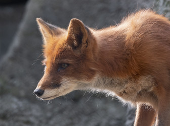 Similar image 21424095