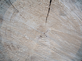 Similar image 21431397