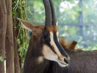 Similar image 21424099