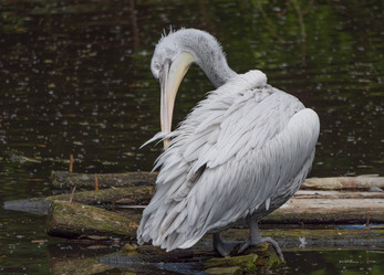 Similar image 21424104