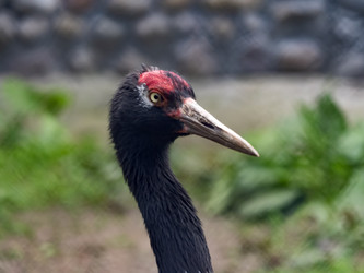 Similar image 21424222