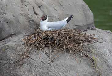 Similar image 21424322