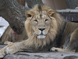 Similar image 21424323