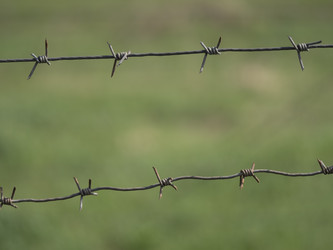 Similar image 21431405