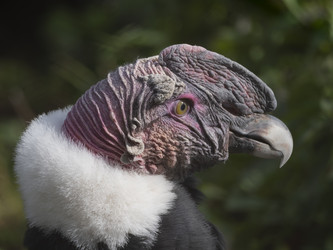 Similar image 21423513