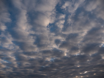 Similar image 21423515