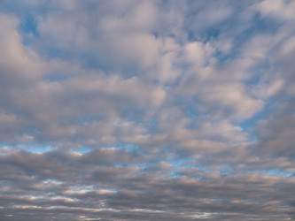 Similar image 21424106