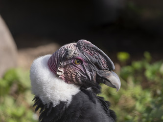 Similar image 21424108