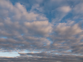 Similar image 21424109