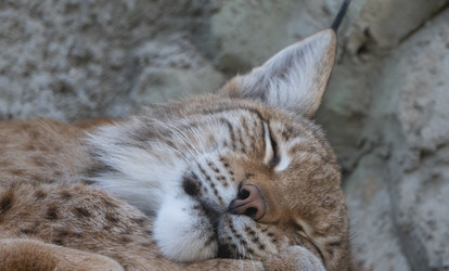 Similar image 21424122