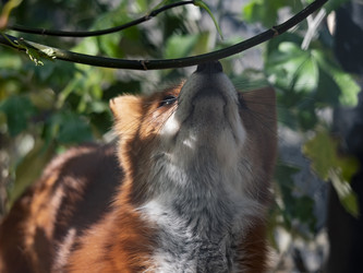 Similar image 21424124