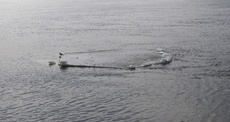 Similar image 21424125