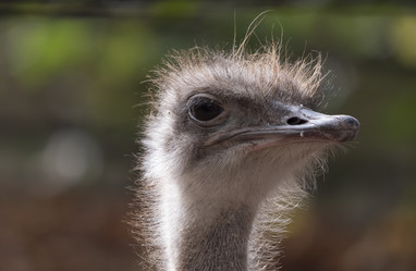 Similar image 21424224