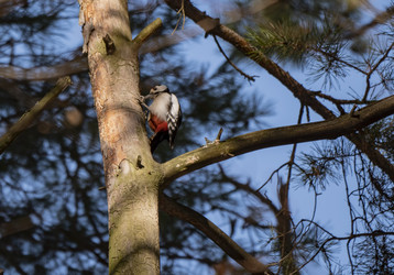 Similar image 21431410