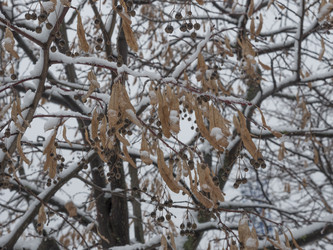 Similar image 21431432