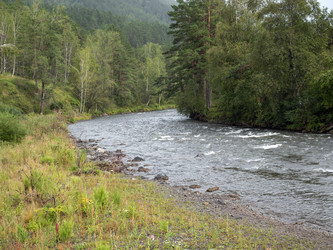 Similar image 21431440