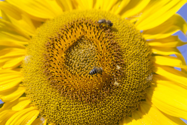 Similar image 21423530