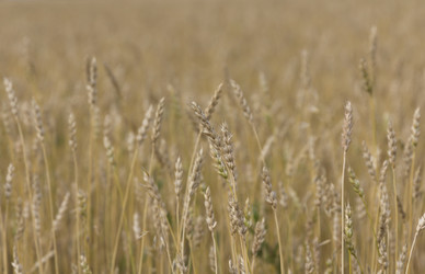 Similar image 21424136