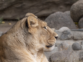 Similar image 21431450