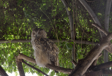 Similar image 21423541