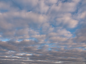 Similar image 21424147