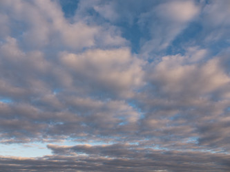 Similar image 21424162