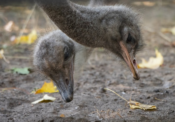 Similar image 21431489