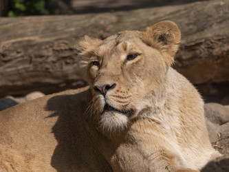 Similar image 21431495