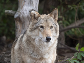 Similar image 21431496