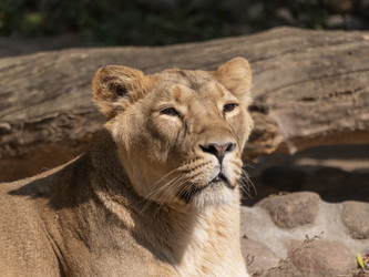 Similar image 21431497