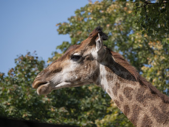 Similar image 21431503