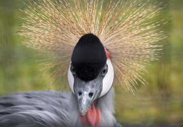 Similar image 21431506