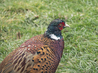 Similar image 21431508