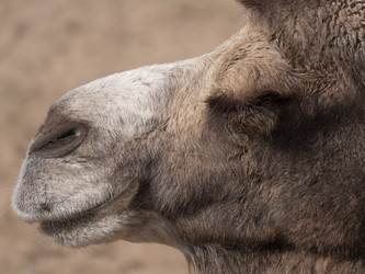 Similar image 21431509