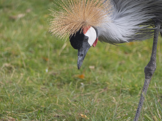 Similar image 21431510