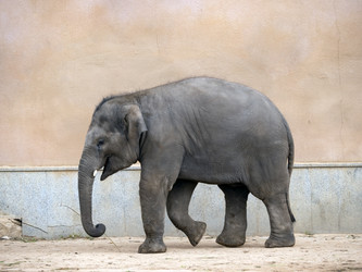 Similar image 21431512