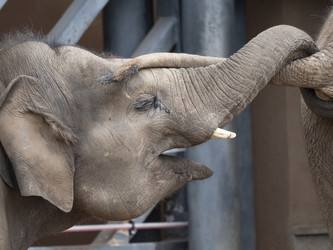 Similar image 21431516