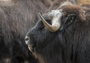 Similar image 21431518