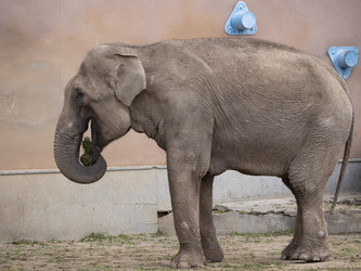 Similar image 21431519