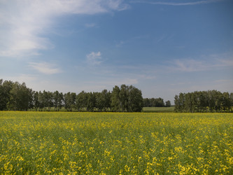 Similar image 21423543