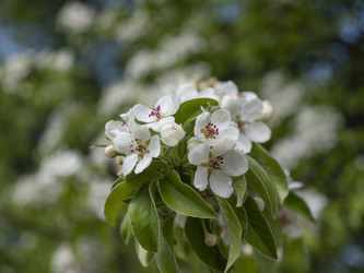 Similar image 21424170