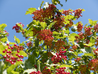 Similar image 21424171