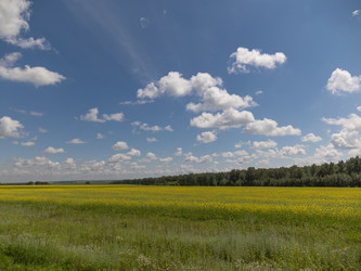 Similar image 21424172