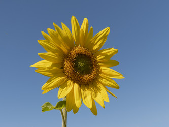 Similar image 21424173