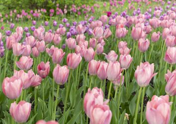 Similar image 21424272