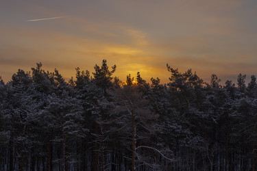 Similar image 21423545