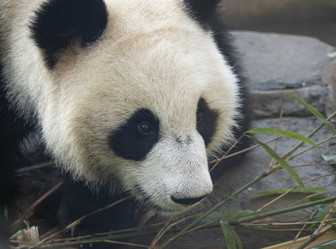 Similar image 21431575