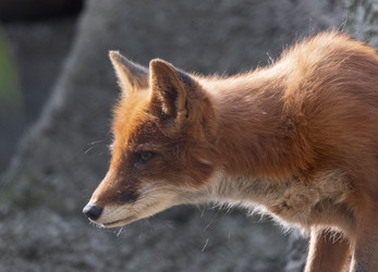 Similar image 21431578